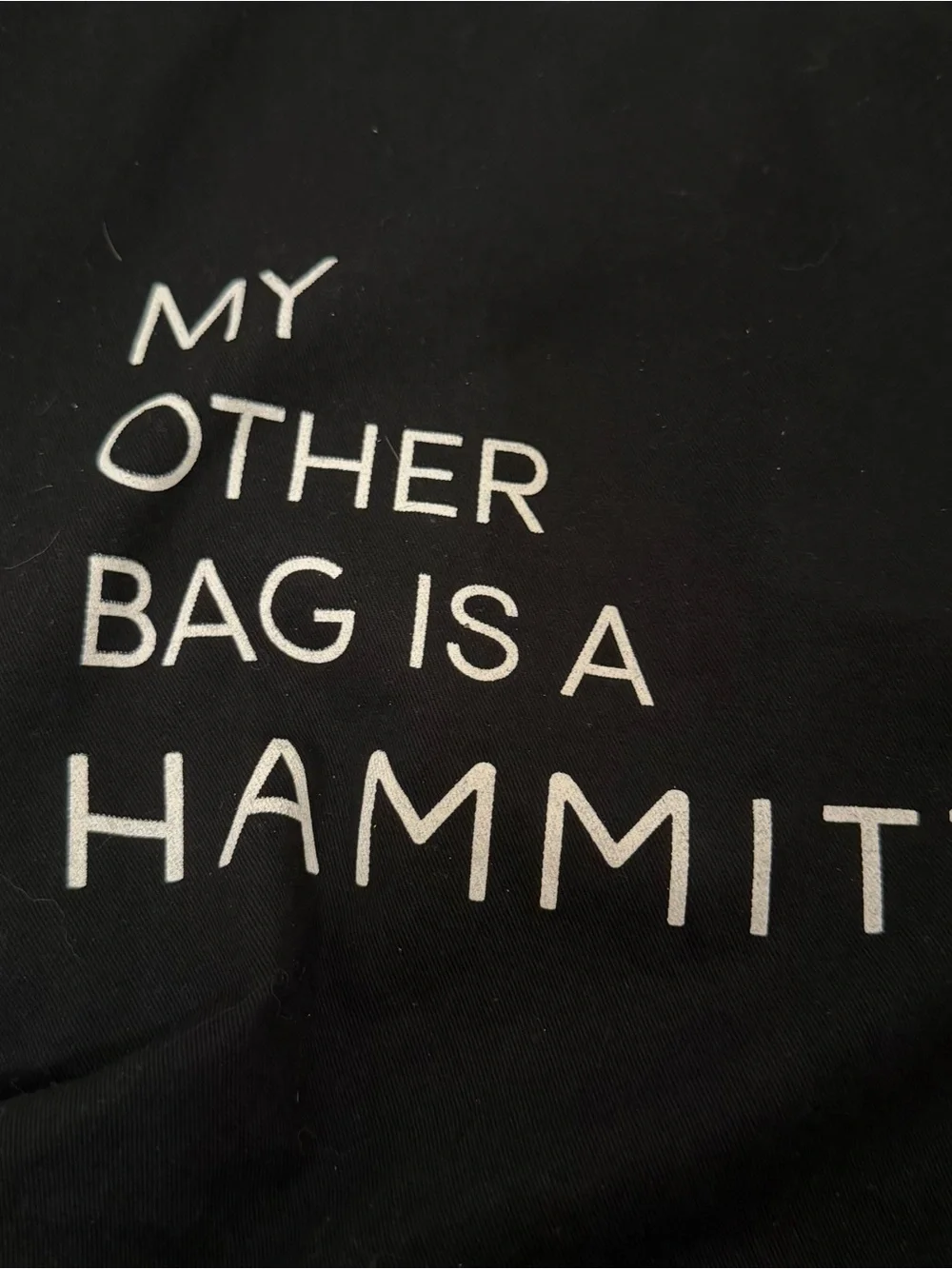 Hammitt tote bag